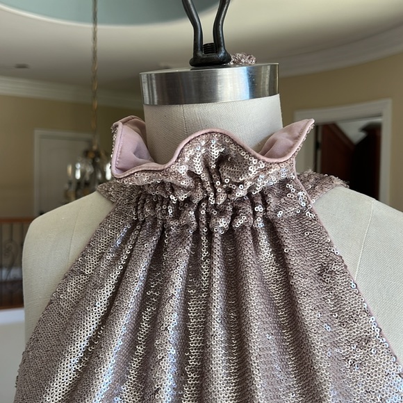 Gorgeous rose silver sequin dress size L, by C/MEO Collective - Picture 2 of 11